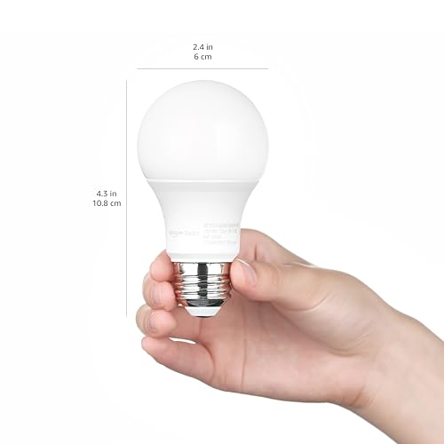 Amazon Basics A19 Dusk to Dawn Sensor LED Outdoor Light Bulb, 60W Equivalent, Energy-Efficient 9W, Daylight 5000K, E26 Base, 10,000 Hours, 2 Count (Pack of 1)