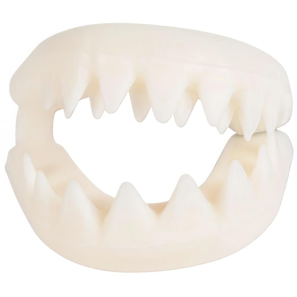 Rhode Island Novelty Great White Shark Teeth