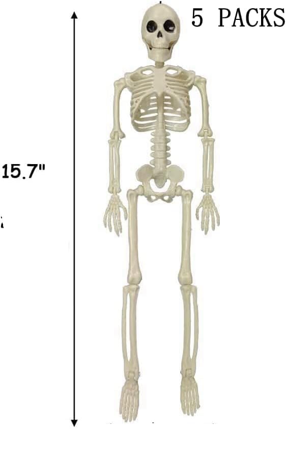 Daricano Halloween Decoration Outdoor 5 Pack Skeleton, 16" Plastic Posable Skeleton with Movable Joints, Small Hanging Skeletons for Halloween Decor, Haunted House Graveyard Props