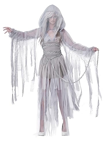 California Costumes Women's Haunting Beauty Costume X-Small Silver