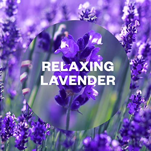 Air Wick |Relaxing Lavender |Essential Mist Refill|20ml | Pack of 6| Lasts up to 270 days