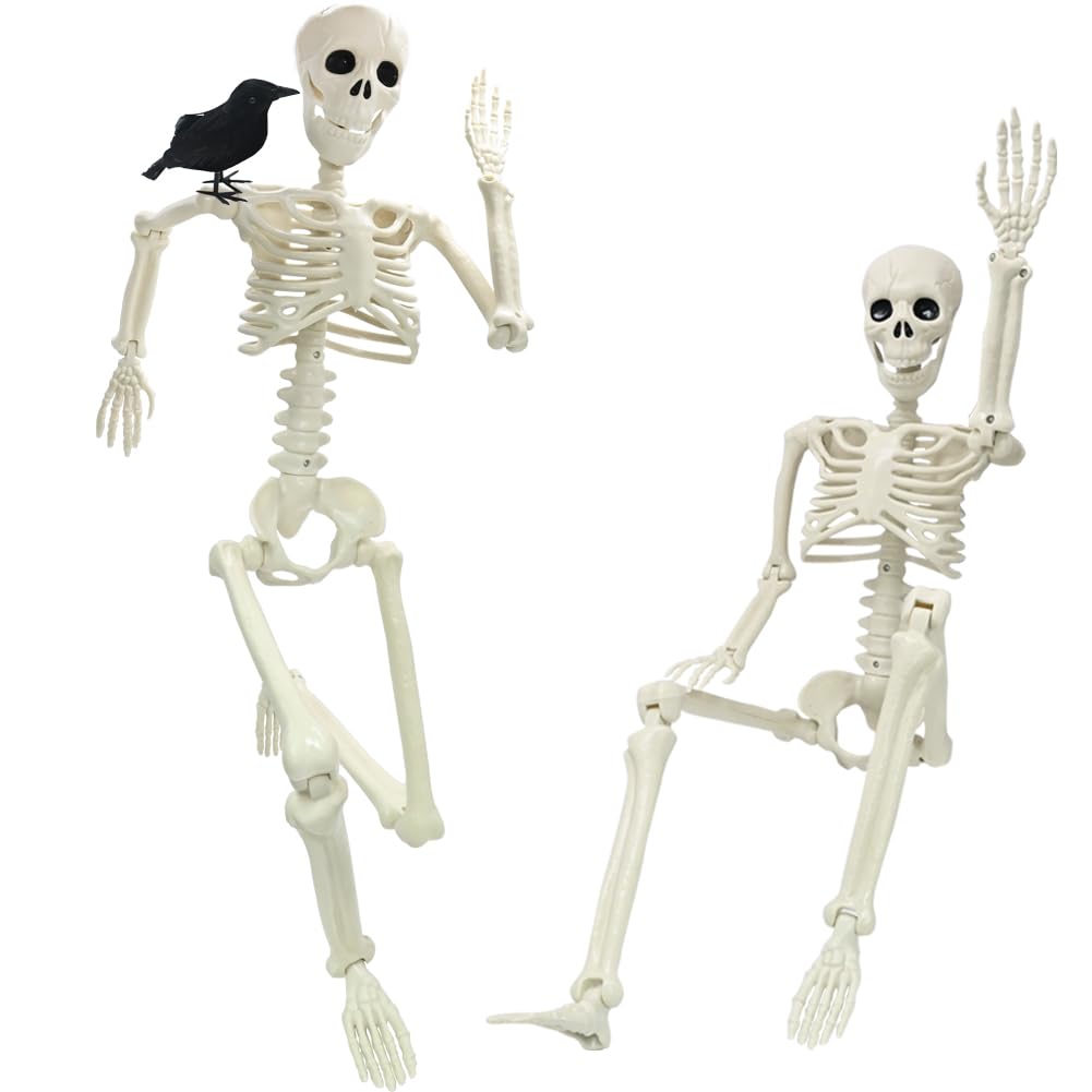 3FT Skeleton Halloween Decorations, Full Body Posable Halloween Skeleton with Movable Joints, 36" Plastic Skeleton with 1PCS Black Crow for Indoor Outdoor Haunted House Prop Decor