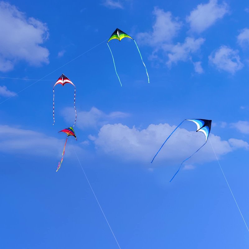 Mint's Colorful Life Delta Kite for Kids & Adults, Easy to Fly Kites with 2 Ribbons and 300ft Kite String, Best Kites for Beginner(Blue)