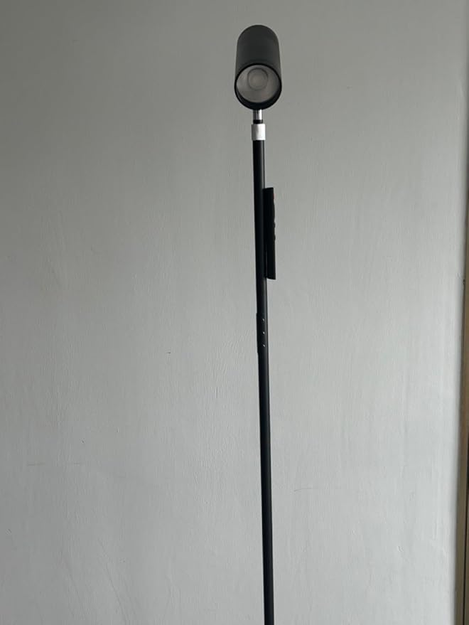 Adjustable RGB Floor Lamp, Single Head, Black