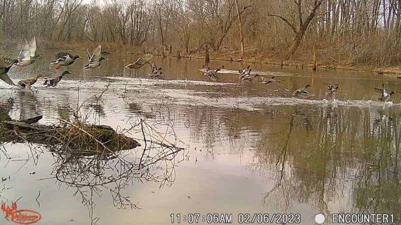 Wildgame Innovations Terra Xtreme 16MP Trail Camera - High-Resolution Night Vision
