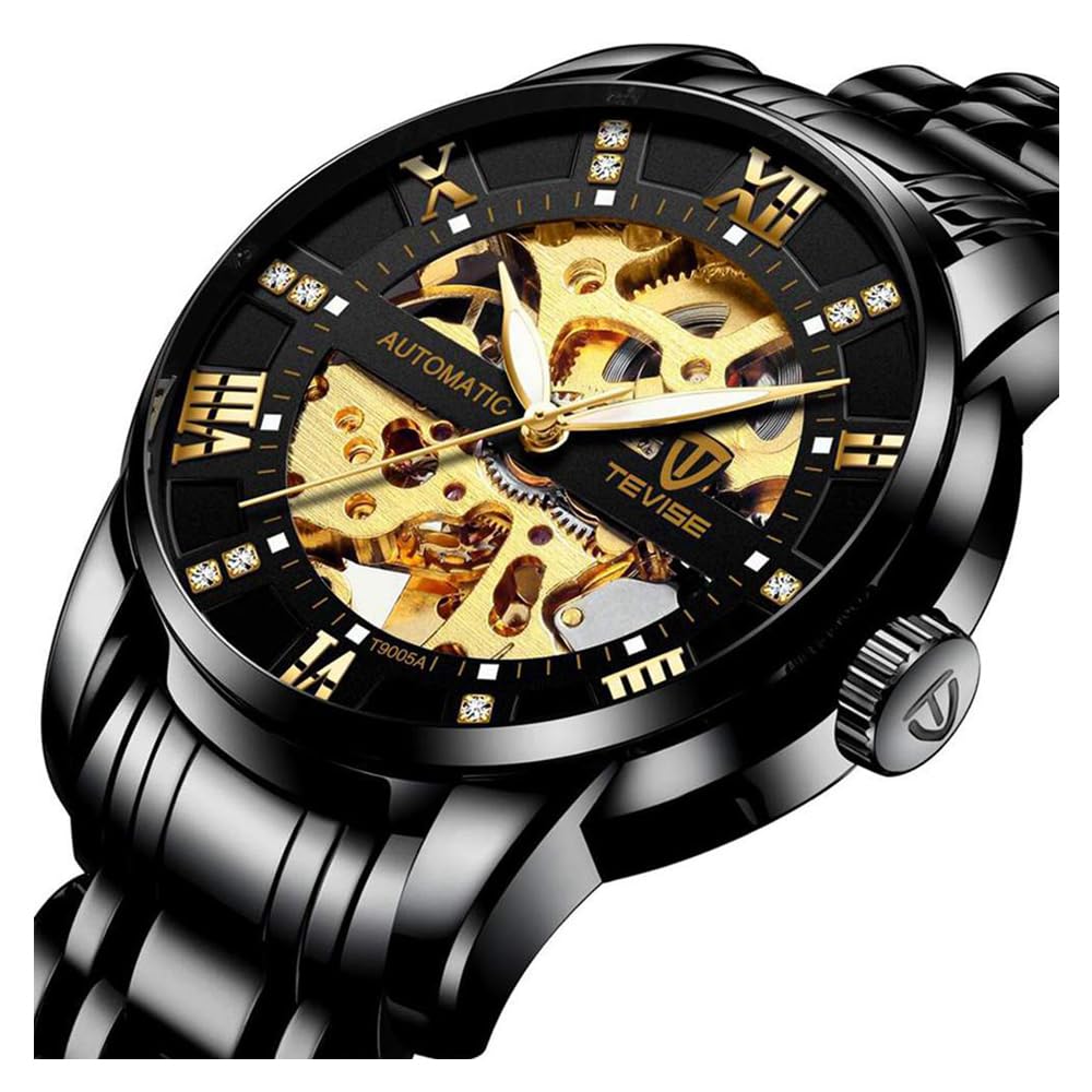 Dentily Mechanical Men's Watch Stainless Steel Skeleton Automatic Watch Waterproof Business Watches for Men