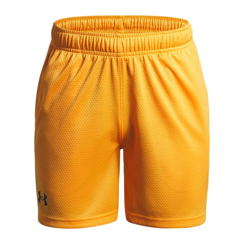 Under Armour Boys' Tech Mesh Shorts, (793) Squad Orange / / Black, Large