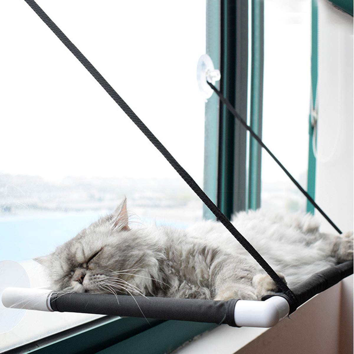 Afufu Cat Hammocks Window, Cat Window Seat, Sunny Seat Perches 4 Big Suction Cups Holds Up 10kg, Space Saving and Safety Mounted Bed (Black)