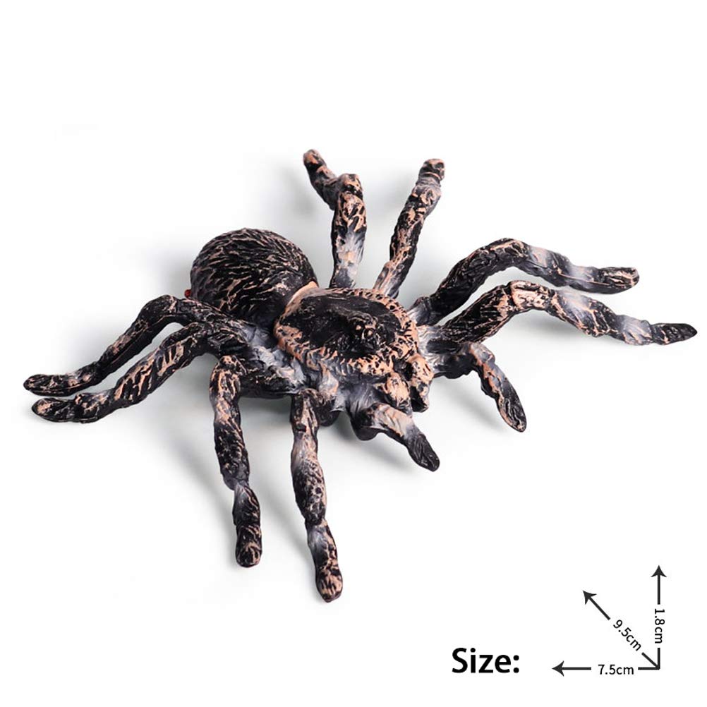 FLORMOON Realistic Animal Figures - Spider Action Model Lifelike Insect Toy Figures - Educational Learning Toys Birthday Set for Boys Girls Kids Toddlers (Giant Whiteknee)