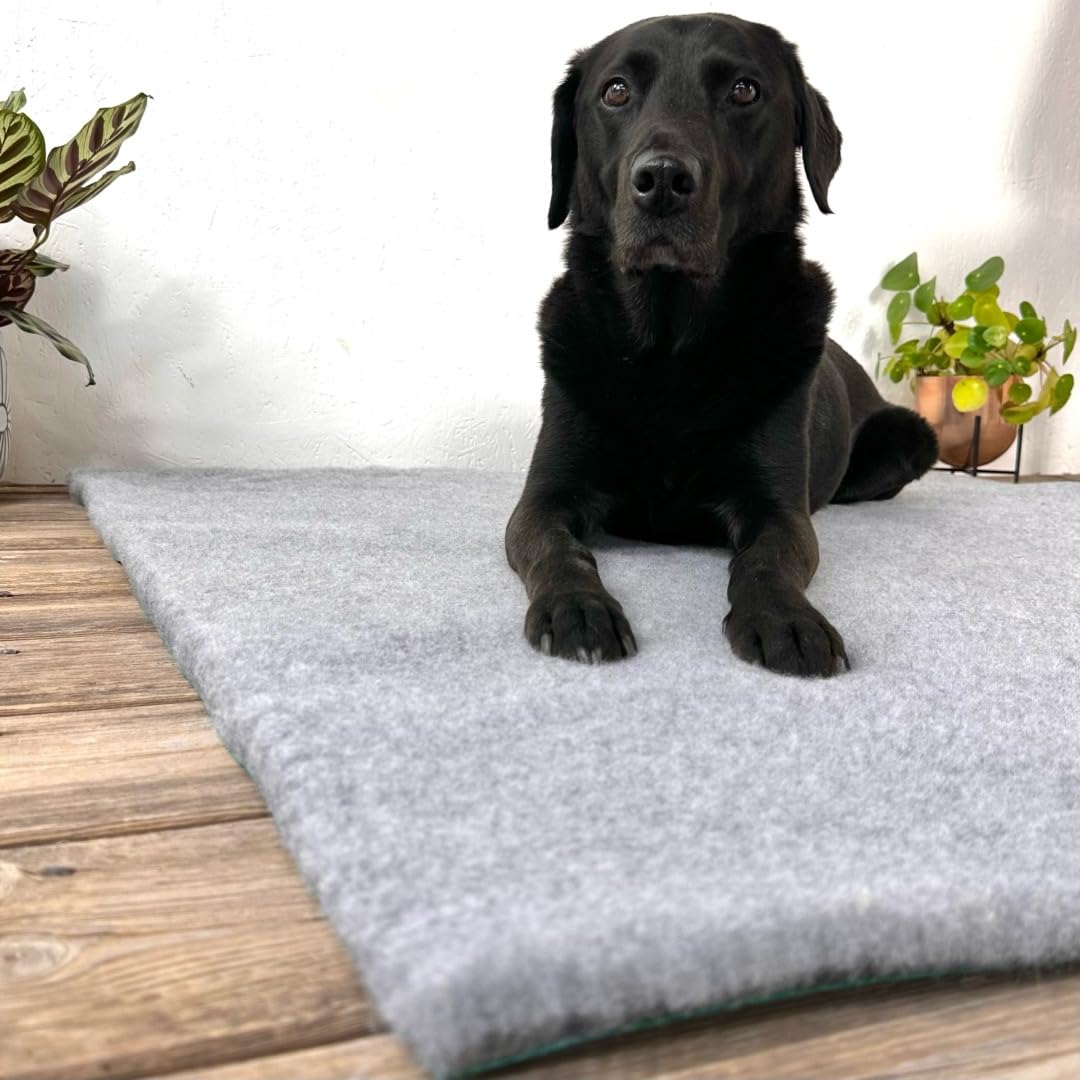 SOUL DESTINY Traditional Grey High-Grade Vet Bedding 30mm Cut in Squares & Rolls. THICK WHELPING FLEECE DOG PUPPY PRO BED Size: 75cm x 51cm
