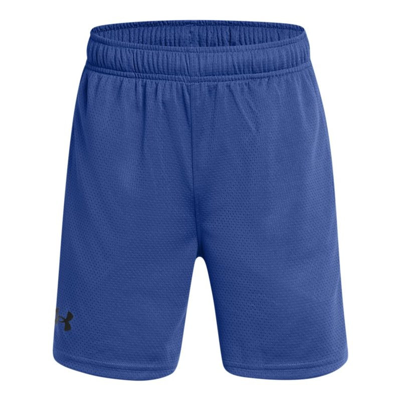 Under Armour Boys Tech Mesh Shorts, (432) Tech Blue / / Black, Large