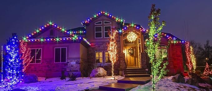 WYZworks 1656LEDs 150ft LED Outside Rope Lights, Outdoor ETL Certified Waterproof Permanent 360 Degree Light Emitting, Flexible Tube, Connectable, Christmas Palm Tree Exterior Landscape, Colorful