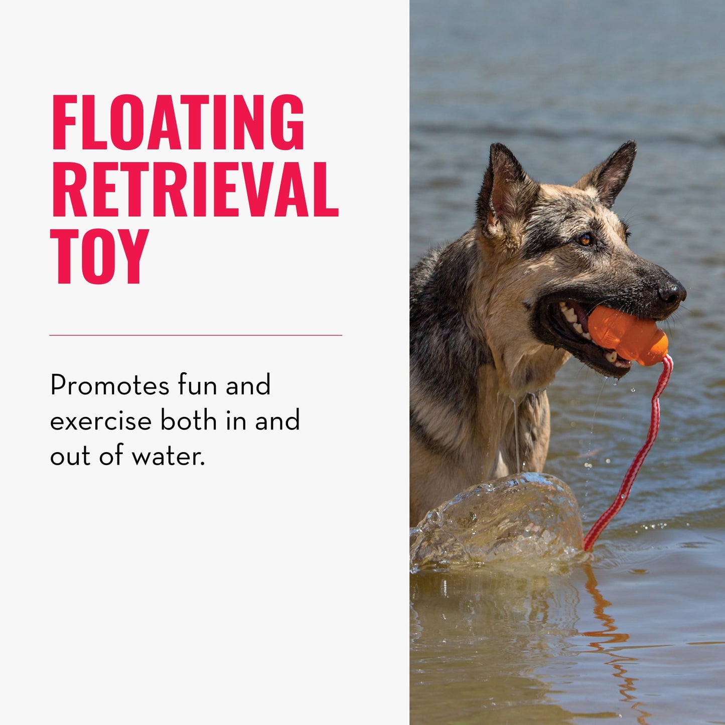 KONG Aqua Floating Fetch Toy - For Water Retrieval, Play & Exercise - With Foam Interior & Rope for Throwing - For Large Dogs, Orange