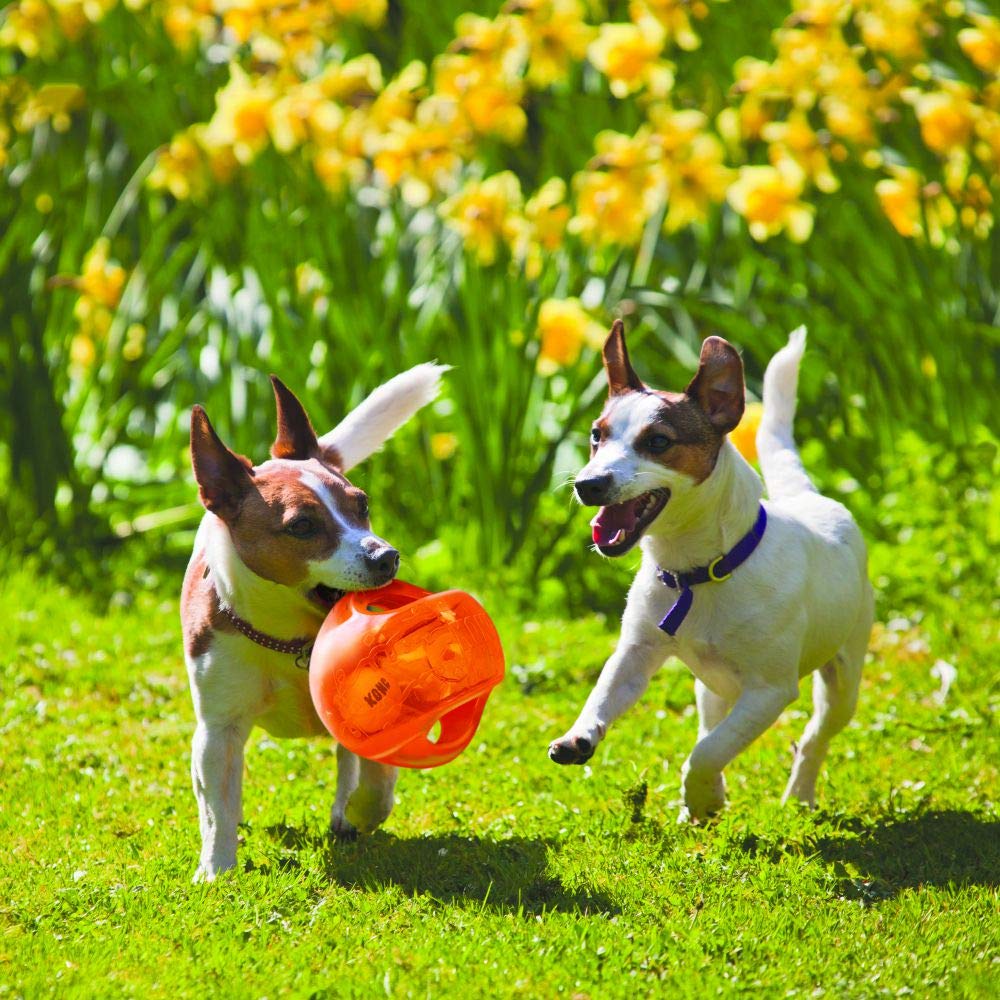 KONG Jumbler Ball - Fetch Toy with Tennis Ball For Dogs and Puppies - For Medium/Large Dogs