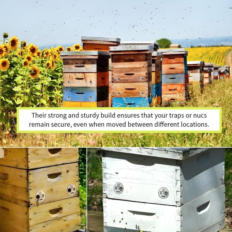 Acoeitl 4Pcs Bee Hive Entrance Disc 4.92In and 2.64In Diameter 2 size Stainless Steel Entrance Gates Beekeeping Tool Equipment Nuc Box Entrance Reducer Round Beehive Nest Door for Swarm Trap Hive Trap