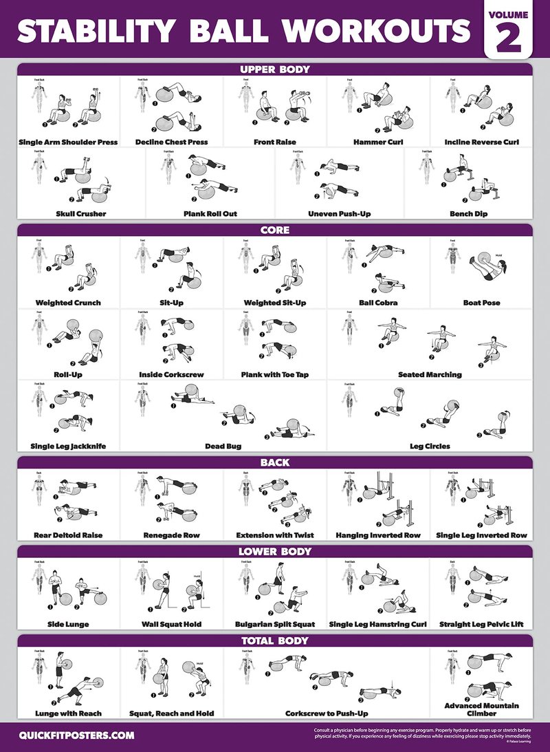 Palace Learning 2 Pack - Yoga Ball Workout Exercises Volume 1 & Volume 2 - Stability Ball Routine - Fitness Charts (18" x 24", Laminated)