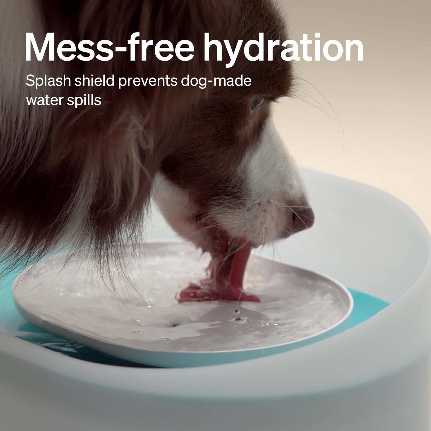 PETLIBRO Capsule Cat Dog Water Fountain Bowl, 8L/1.76 Gallons, Anti-Spill Guard, Vortex Flow Anti-Choking, Easy Refill & Clean, Transparent Casing, Ideal for Medium to Large Dogs Drinking (Plastic)