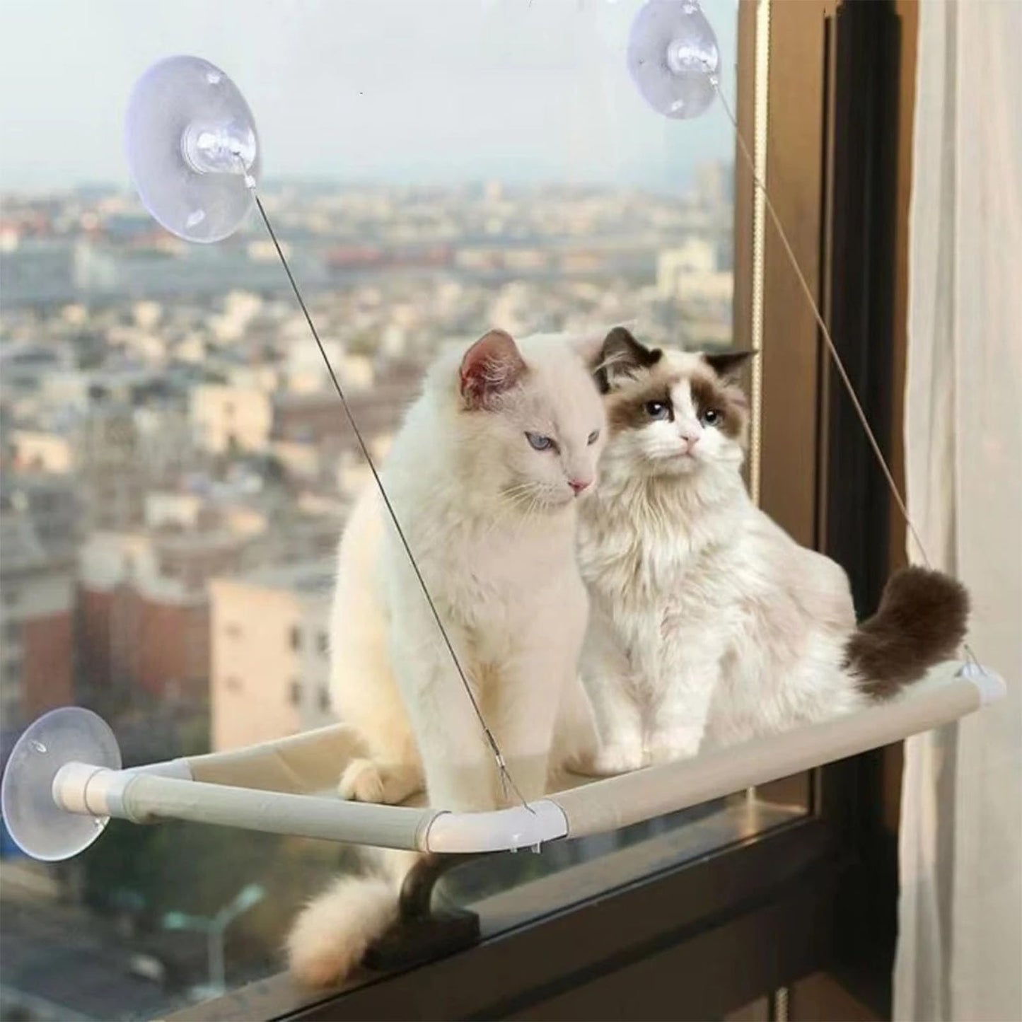 Cat Window Hammock Perch Cat Safety Sunny Bed with Durable Heavy Duty Suction Cups Resting Sunny Window Seat for Indoor Cats Sleeping Space Saving Window Mounted Cat Bed (Khaki)
