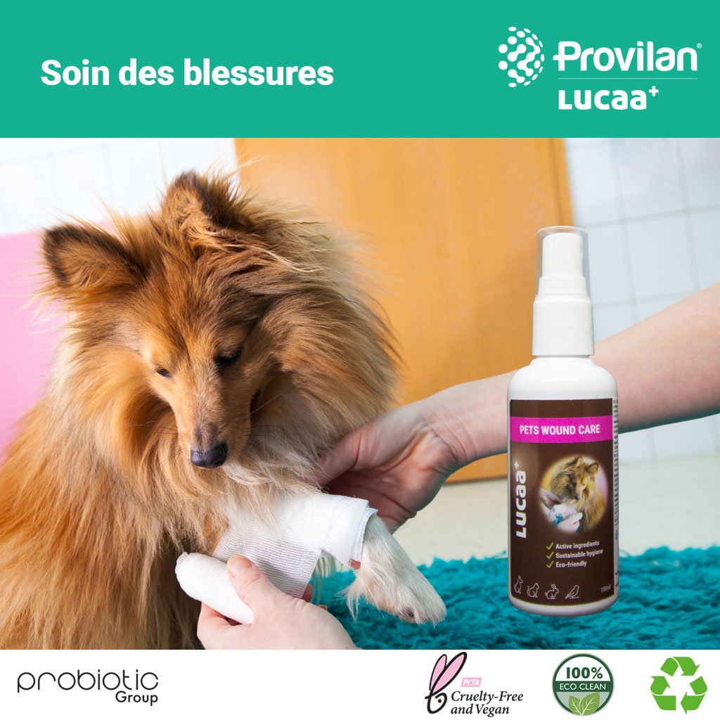 LUCAA+ Pets Wound Care 100 ml | Injury Cleaner for Dogs/Cats with Probiotics | Bio, Vegan & Natural