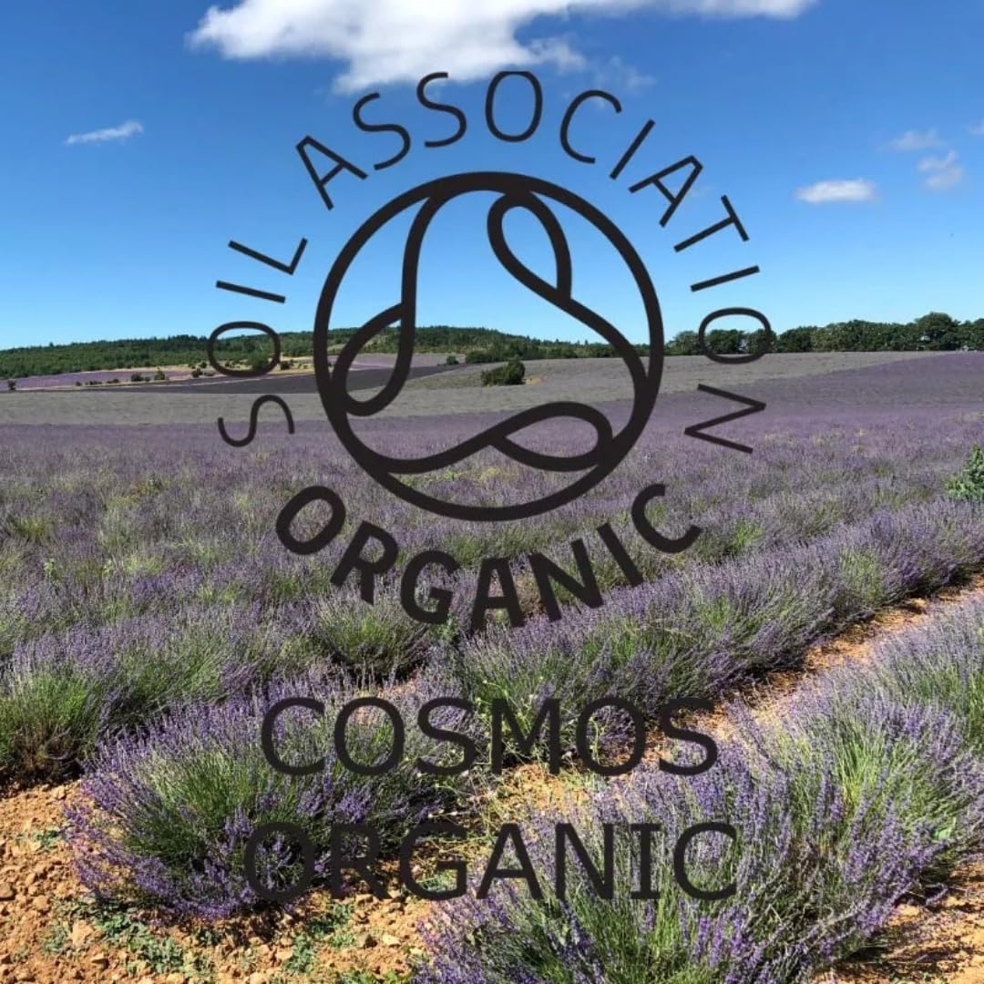 Absolute Aromas Organic Lavender Essential Oil 10ml - 100% Pure, Natural, Vegan, Undiluted and Cruelty-Free - for use in Diffusers, Oil Burners and Aromatherapy Blends