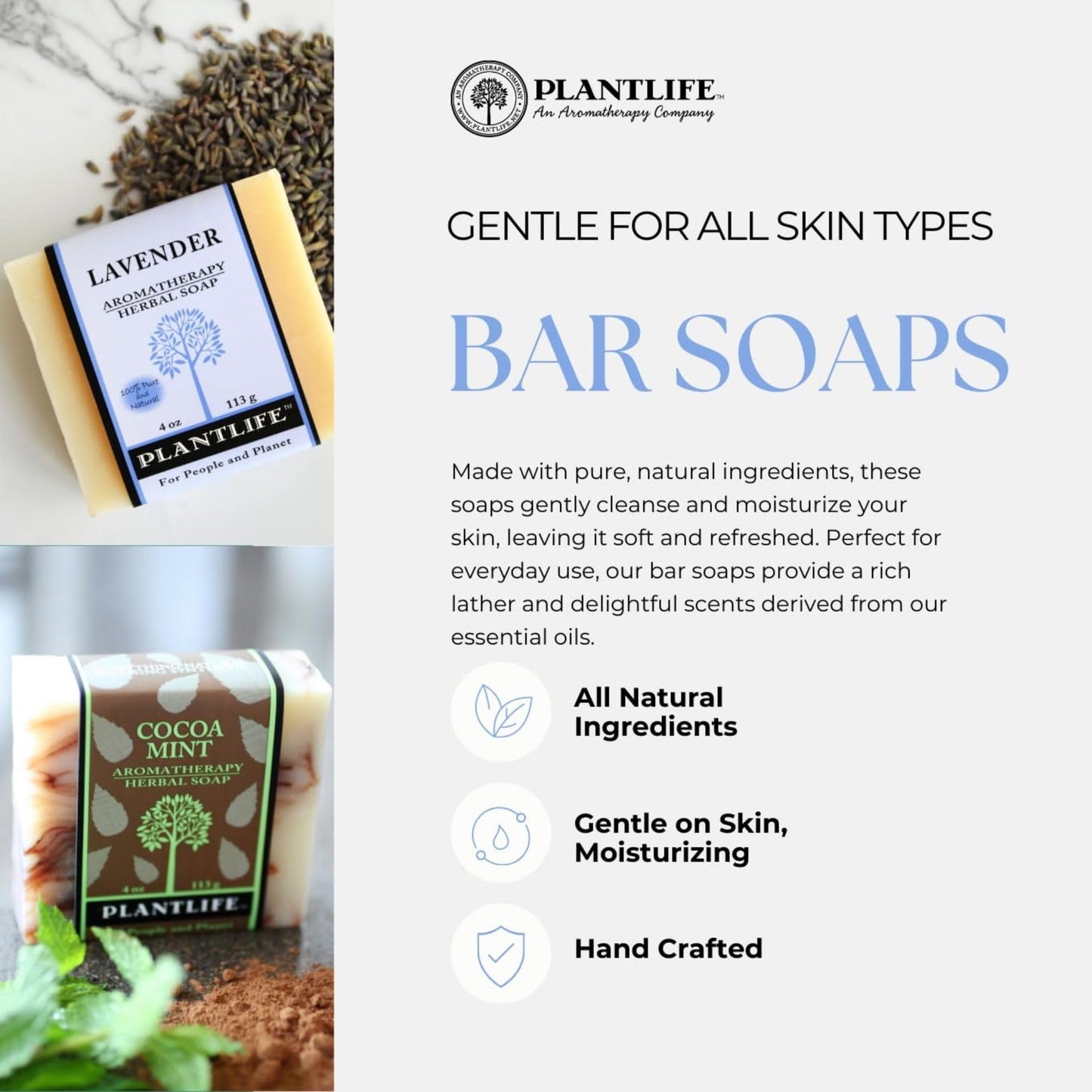 Plantlife Pumpkin Spice Bar Soap - Moisturizing and Soothing Soap for Your Skin - Hand Crafted Using Plant-Based Ingredients - Made in California 4oz Bar