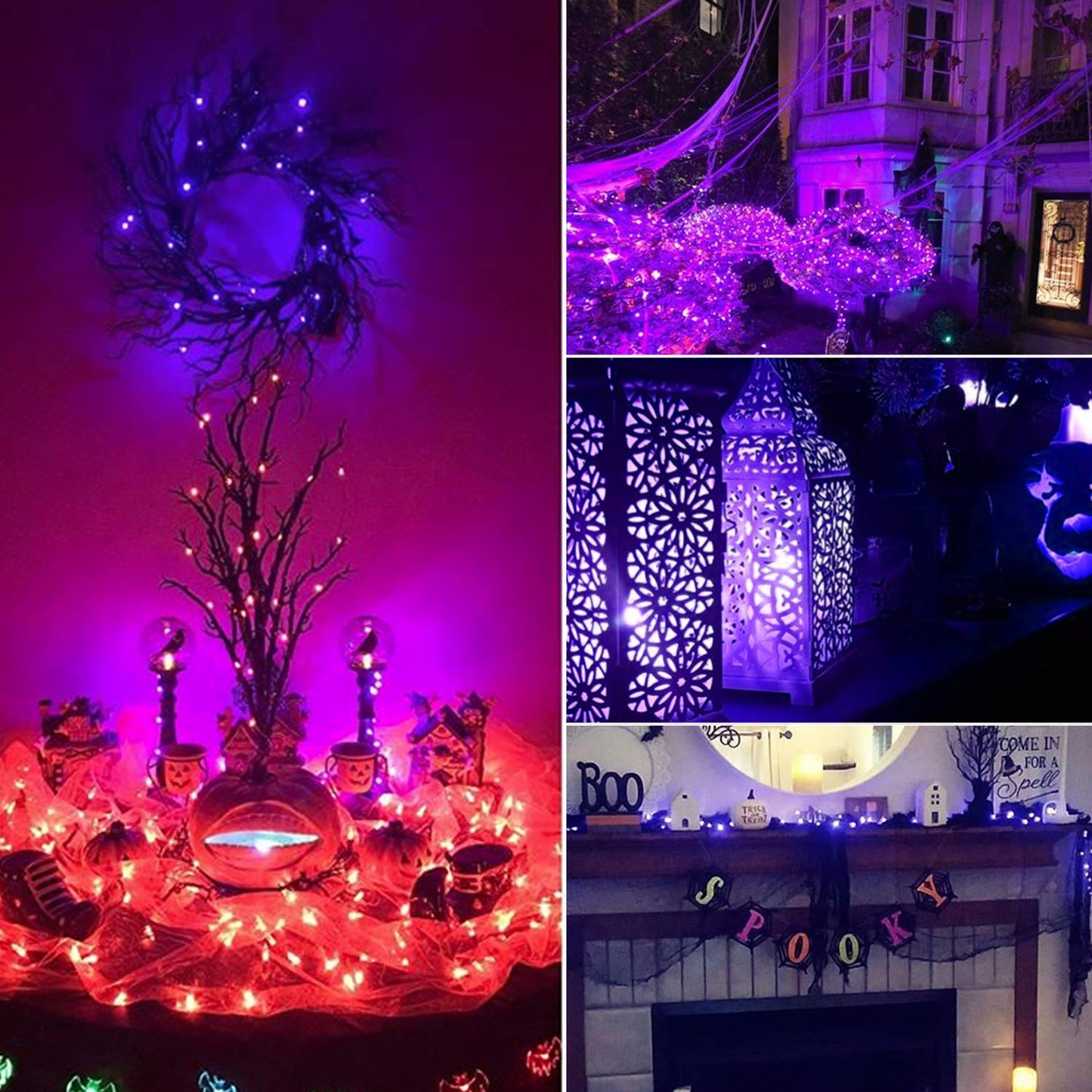 Halloween Purple Fairy String Lights: 12 Pack 7 Ft 20 LED Battery Operated Firefly Lights on Black Wire Starry Moon Lights for DIY Party Bedroom Patio