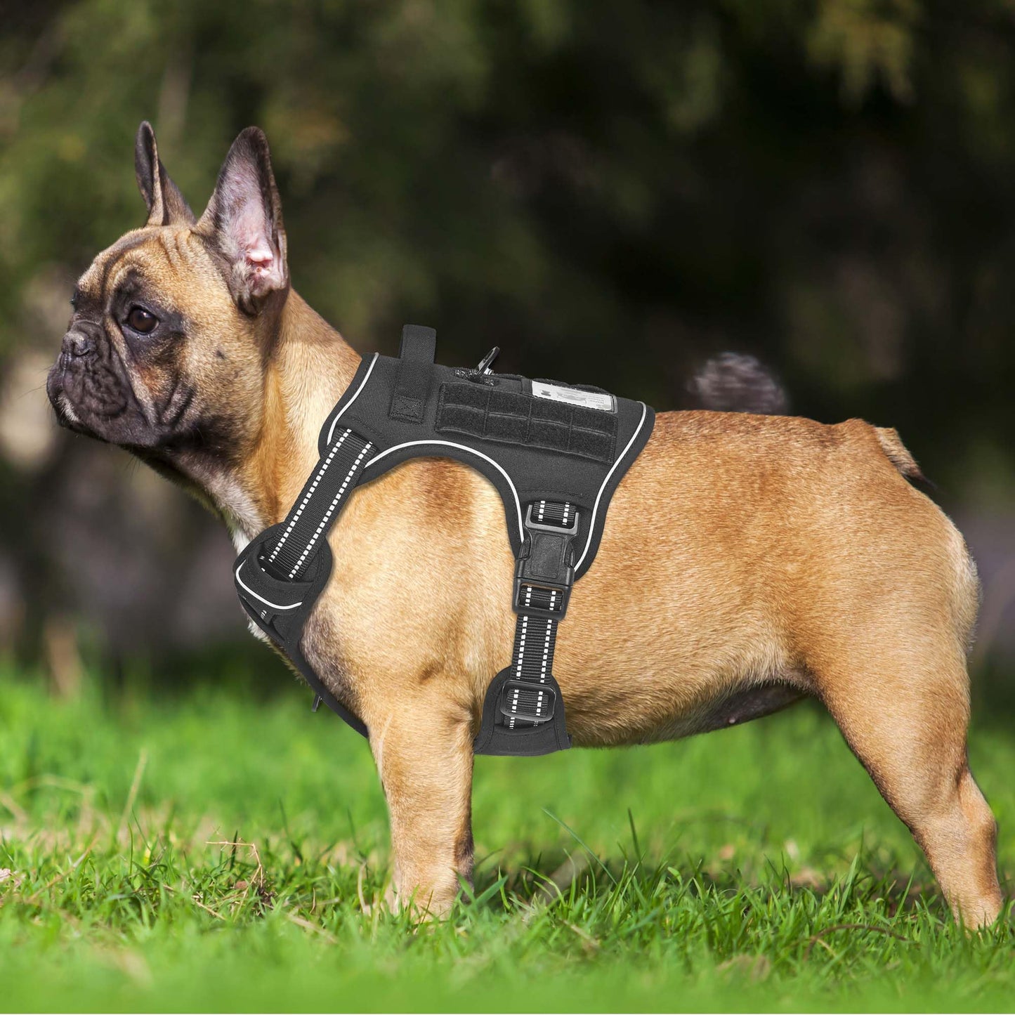 Beebiepet Heavy Duty Tactical Dog Harness for Medium Dogs, No Pull Adjustable Pet Harness Reflective Service Training Easy Control Pet Vest Military K9 Working Dog Harnesses- Medium, Black