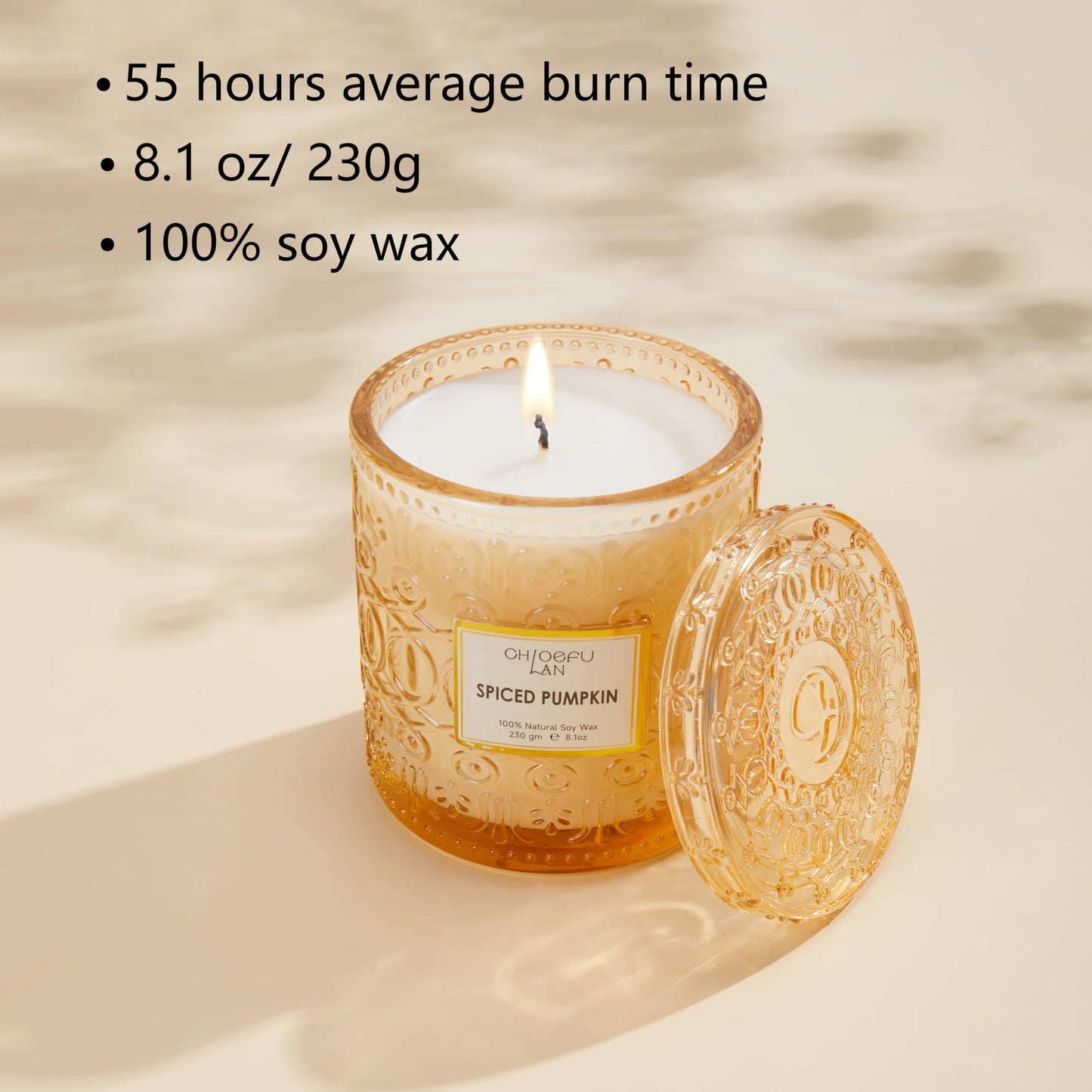 Chloefu LAN Fall Candles for Home Decor Spiced Pumpkin Candle for Halloween, Luxury Scented Soy Jar Autumn Candles with up to 55 Hour Long Lasting, Sweet Home Decor, Barn Fall Decor Pottery, 8.1 oz