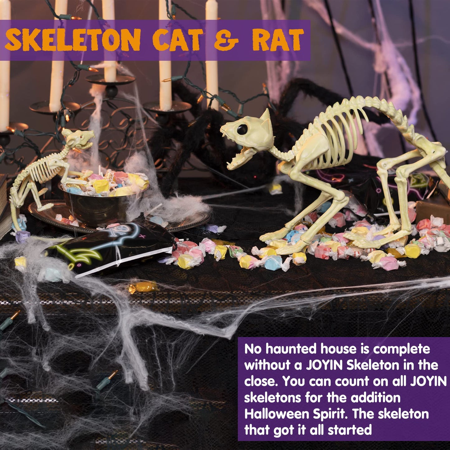 Skeleton Cat and Rat Skeleton for Halloween Decorations, Skeleton Animal Yard Decor and Reaper Bones Animals