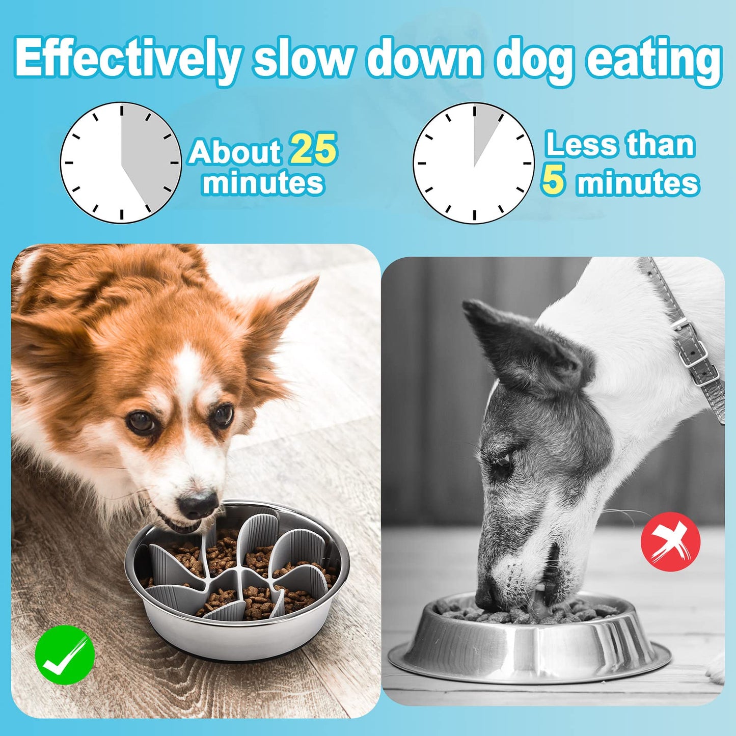 PETTOM Slow Feeder Insert for Dog Bowls - Silicone Cuttable Suitable for Small and Large Dog Bowls to Slow Down Eating - Anti-Slip Strong Suction