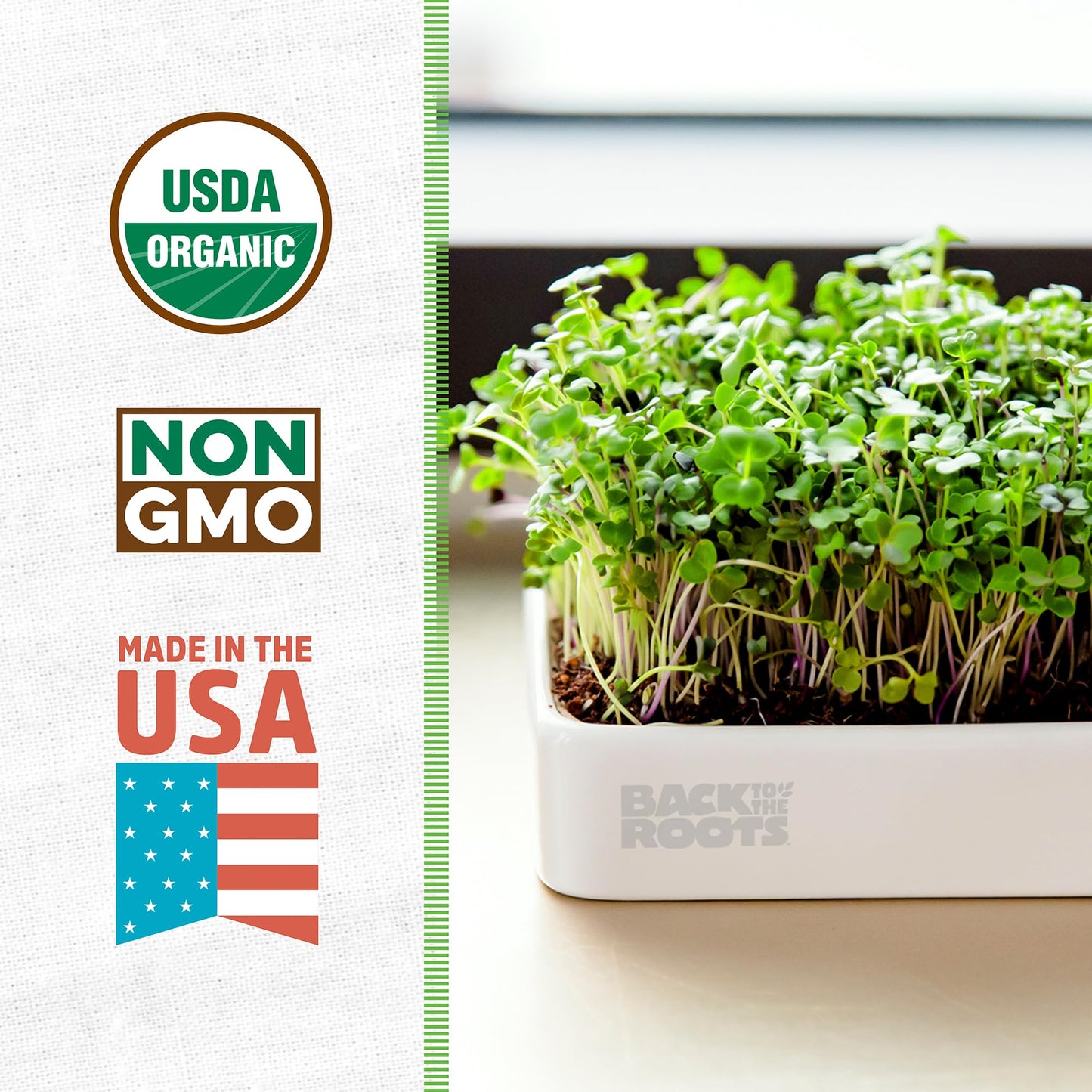 Back to the Roots Organic Microgreens Grow Kit with Ceramic Planter, Expandable Soil, Organic Seeds, and Germination Lid