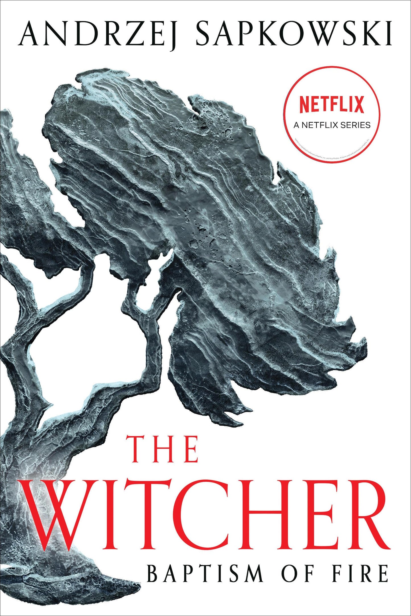 Baptism of Fire (The Witcher Book 5 / The Witcher Saga Novels Book 3)