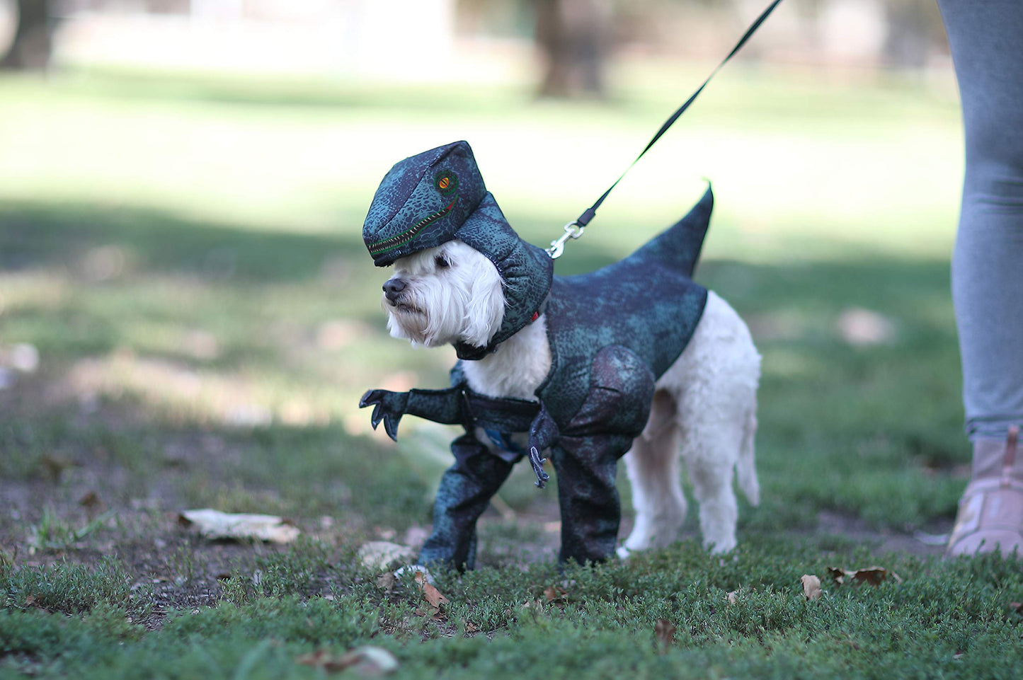 California Costumes Dog Pupasaurus Rex Costume Large