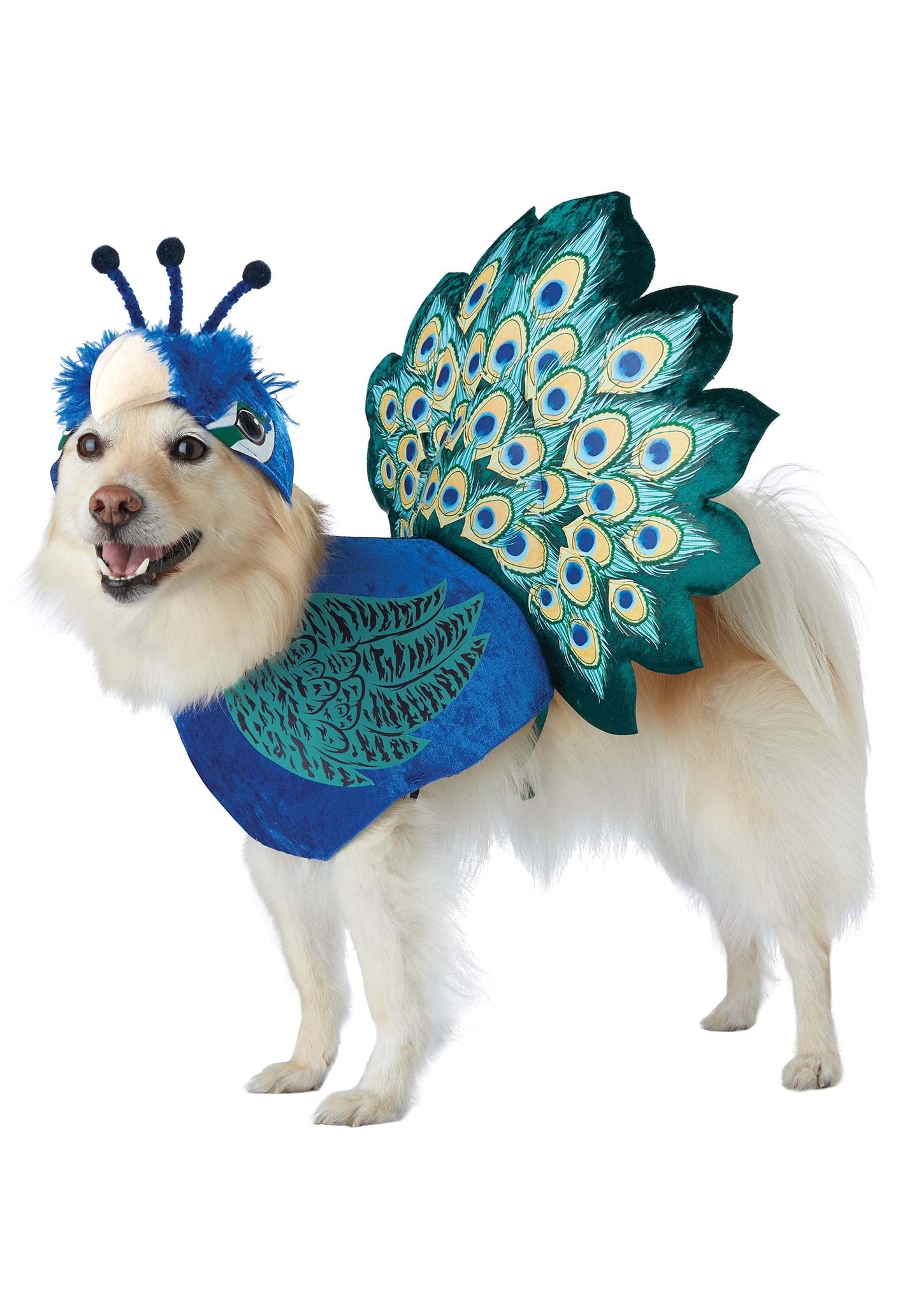 California Costumes Pretty as a Peacock Pet Costume X-Small