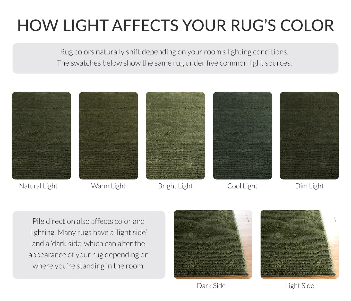 SAFAVIEH Area Rug 8x10 - Revive Collection - Large - Green, Solid Pattern, Non-Shedding & Easy Cleaning, Ideal for Living Room, Bedroom, Office, Dining Space (REV102Y)