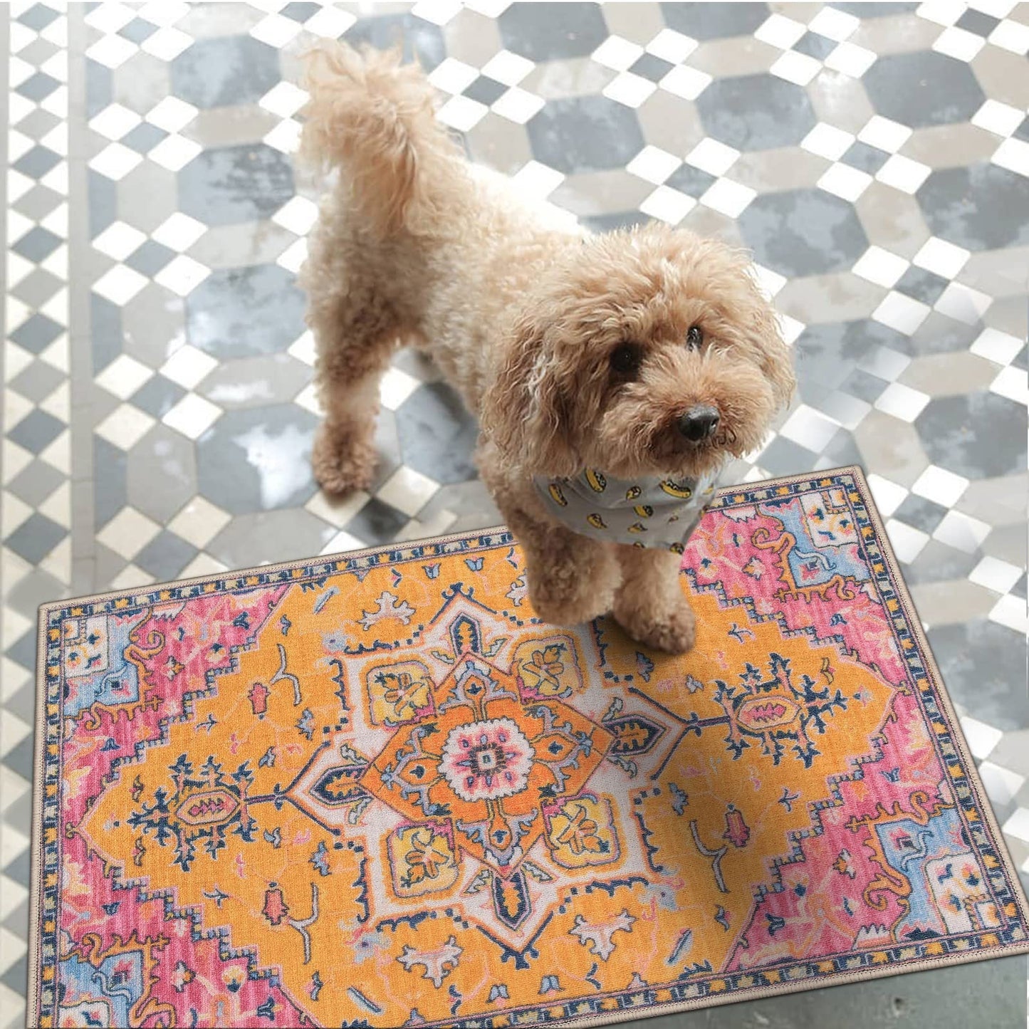 Collive Washable Indoor Door mat, Non Slip Retro Floor Mat 20" x 32" Doormat Quick Absorbent Entrance Rug Distressed Front Door Mat, Welcome Mats Entryway Rug Doormats for Kitchen Home Patio