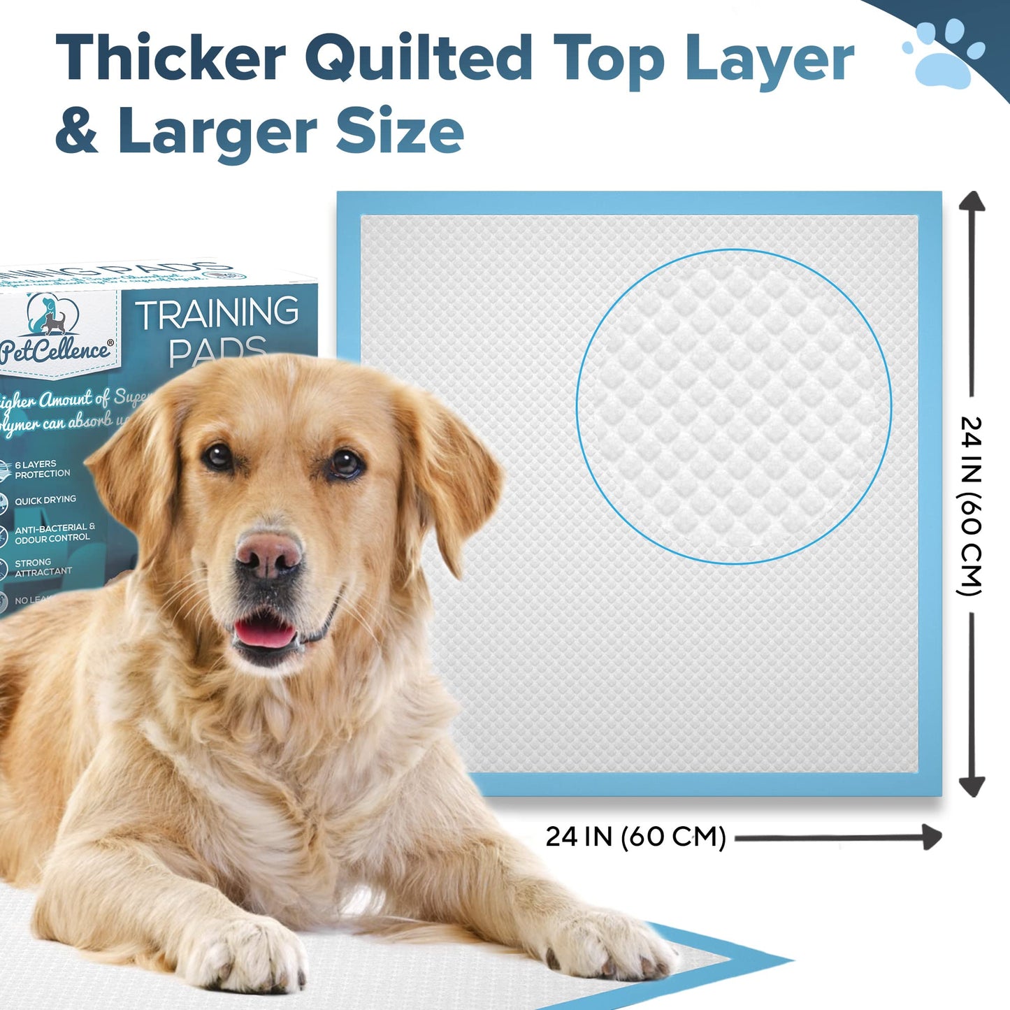 PetCellence Puppy Pads 100 Pack, Super Absorbent Pet Dog Training Pads Large 60 x 60cm with Anti-Slip Adhesive Tabs, Eliminate Odour, Leak-Proof Floor Protection Toilet Pee Mat