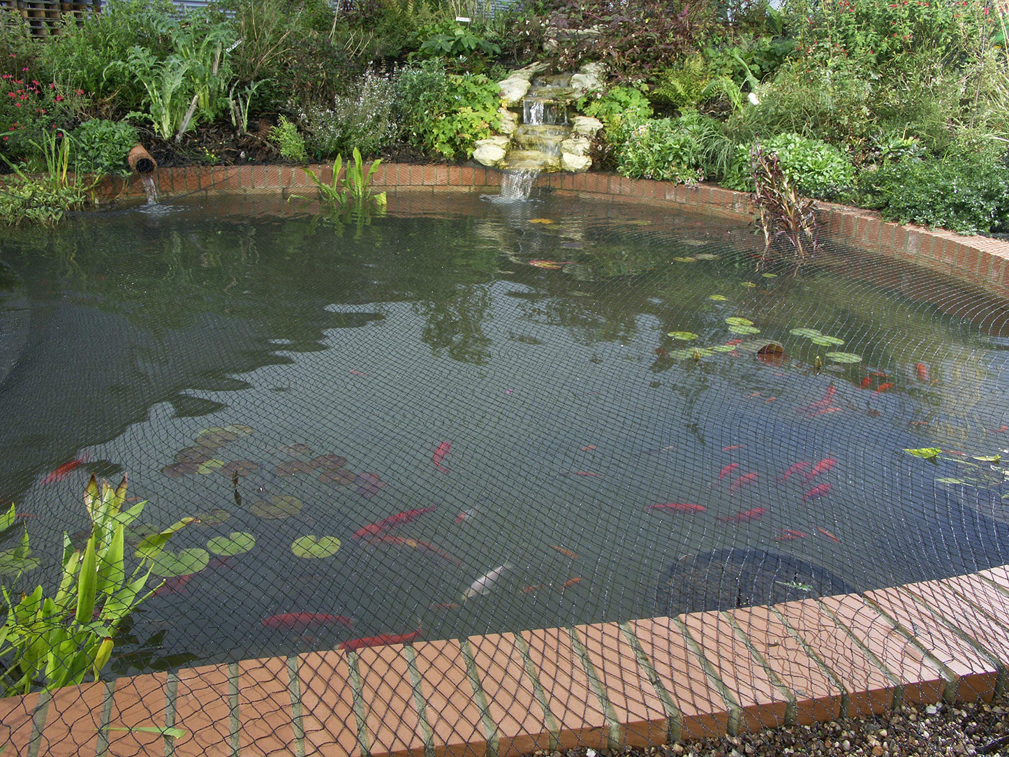 Blagdon 1022378 Clearview Pond Cover Netting, Strong Double Weave, Black, Fine, with 6 Fixing Pegs, Net Size 3m x 2m (10’ x 6’ 6”), Protects Pond