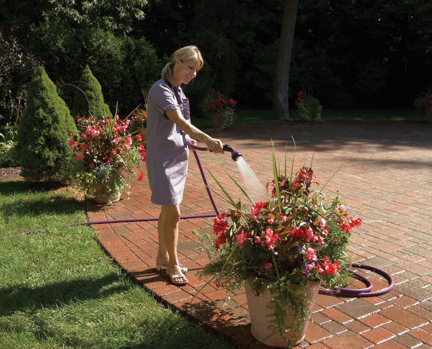 Dramm 12426 One Touch Shower and Stream, Berry