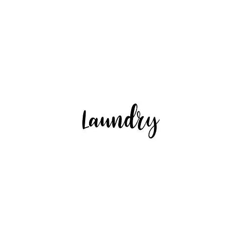 CreativeSignsnDesigns Door Vinyl Decal - Pantry, Restroom, Closet Water, Closet, Laundry, Office, toilettes, Bathroom (Laundry, Black)