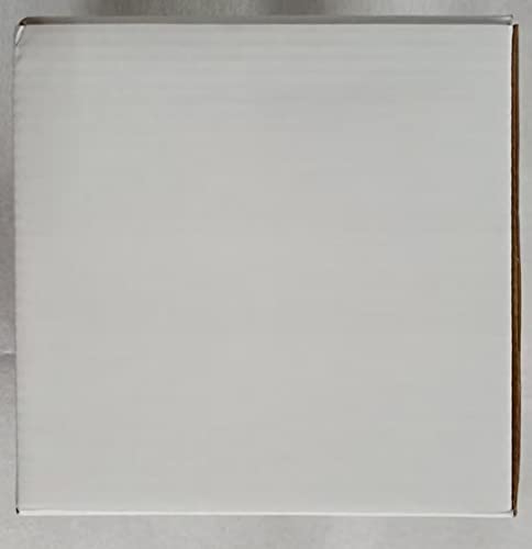 Baffect Cute Indoor/Outdoor Watering Can, 1.2L/41OZ Stainless Steel with Long Spout for House Plants, Bonsai, Flowers & Decor