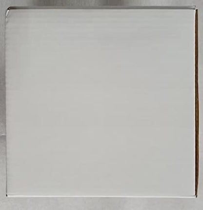 Baffect Cute Indoor/Outdoor Watering Can, 1.2L/41OZ Stainless Steel with Long Spout for House Plants, Bonsai, Flowers & Decor