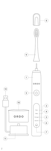 Ordo Sonic+ Electric Toothbrush for Adults, Advanced Tech, 4 Brushing Modes, Fast Rechargeable, Sonic Toothbrushes Over 4 Weeks Battery Life, Silicone Polishing Element, USB Charger, Charcoal Grey