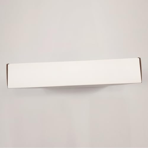 PULUZ 9.8 inch/ 25CM Light Box Portable Photo Box Booth with 10 Levels of Adjustable Brightness, High Definition LED Ring Light with 96 Beads and 12 Coloured Backdrops for Product Photography