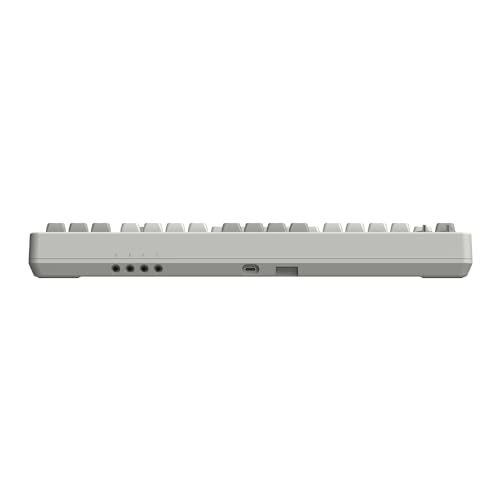 8Bitdo Retro Mechanical Keyboard, Bluetooth/2.4G/USB-C Hot Swappable Gaming Keyboard with 87 Keys, Dual Super Programmable Buttons for Windows and Android - N Edition