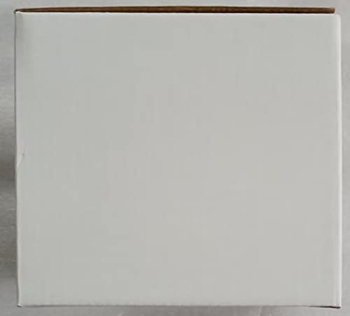 Baffect Cute Indoor/Outdoor Watering Can, 1.2L/41OZ Stainless Steel with Long Spout for House Plants, Bonsai, Flowers & Decor