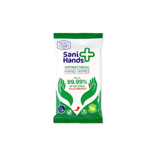 Sani Hands - Anti-bacterial Hand Wipes - Dermatologically Tested, Biodegradable Wet Wipes - 10x12 Wipes (120 Wipes)