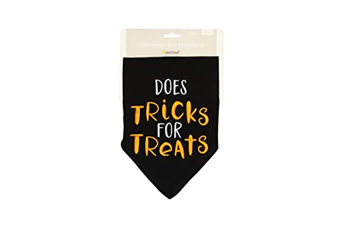 Pearhead Trick or Treat Dog Bandana, Black Halloween Pet Scarf, Slip-On Collar Accessory for Small Medium Pets, Cute Puppy Costume, Fall Seasonal Pet Apparel