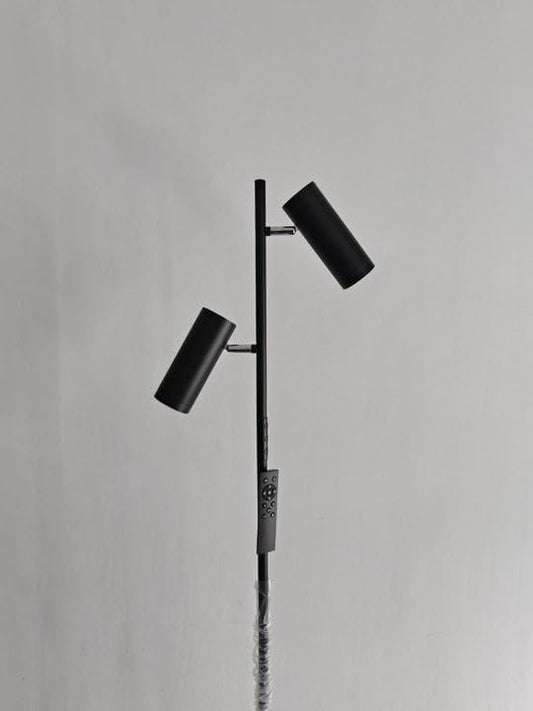 Adjustable Floor Lamp, Dual Head, Black