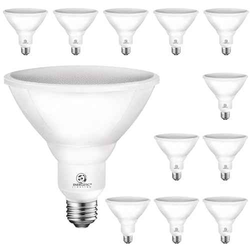 Energetic PAR38 Outdoor LED Flood Light Bulb, 3000K Warm White, 90 Watt Equivalent, Wet Rated, 900LM, E26 Base, Non-Dimmable,12 Pack